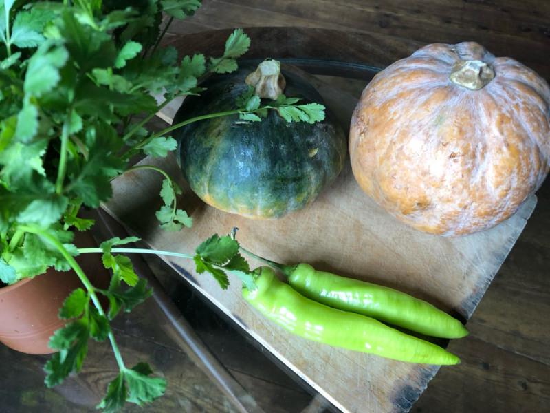 Mexican vegan cooking class